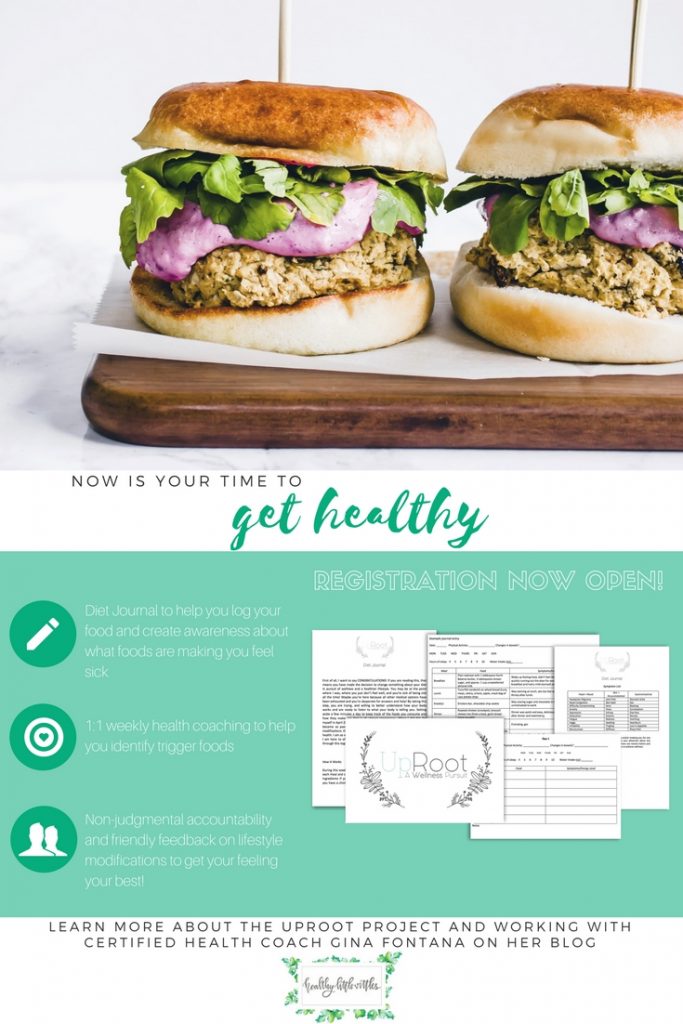 health coaching and diet journal with gina fontana from healthy little vittles