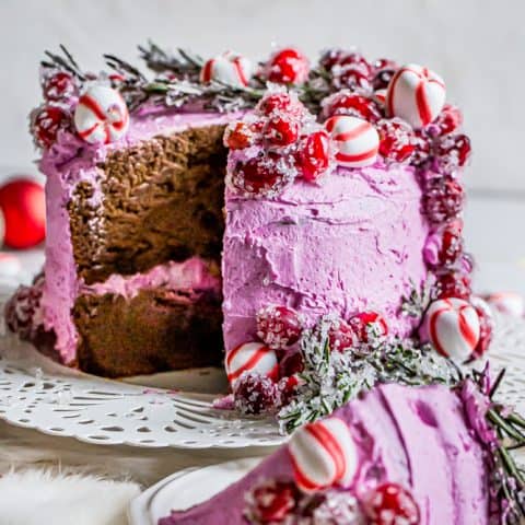 Chocolate Peppermint Cake with Pitaya Peppermint Frosting