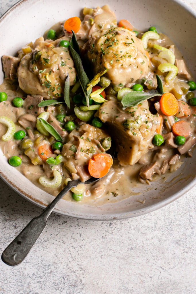 close up of a bowl of chicken and dumplings with a spoonful of dumpling 
