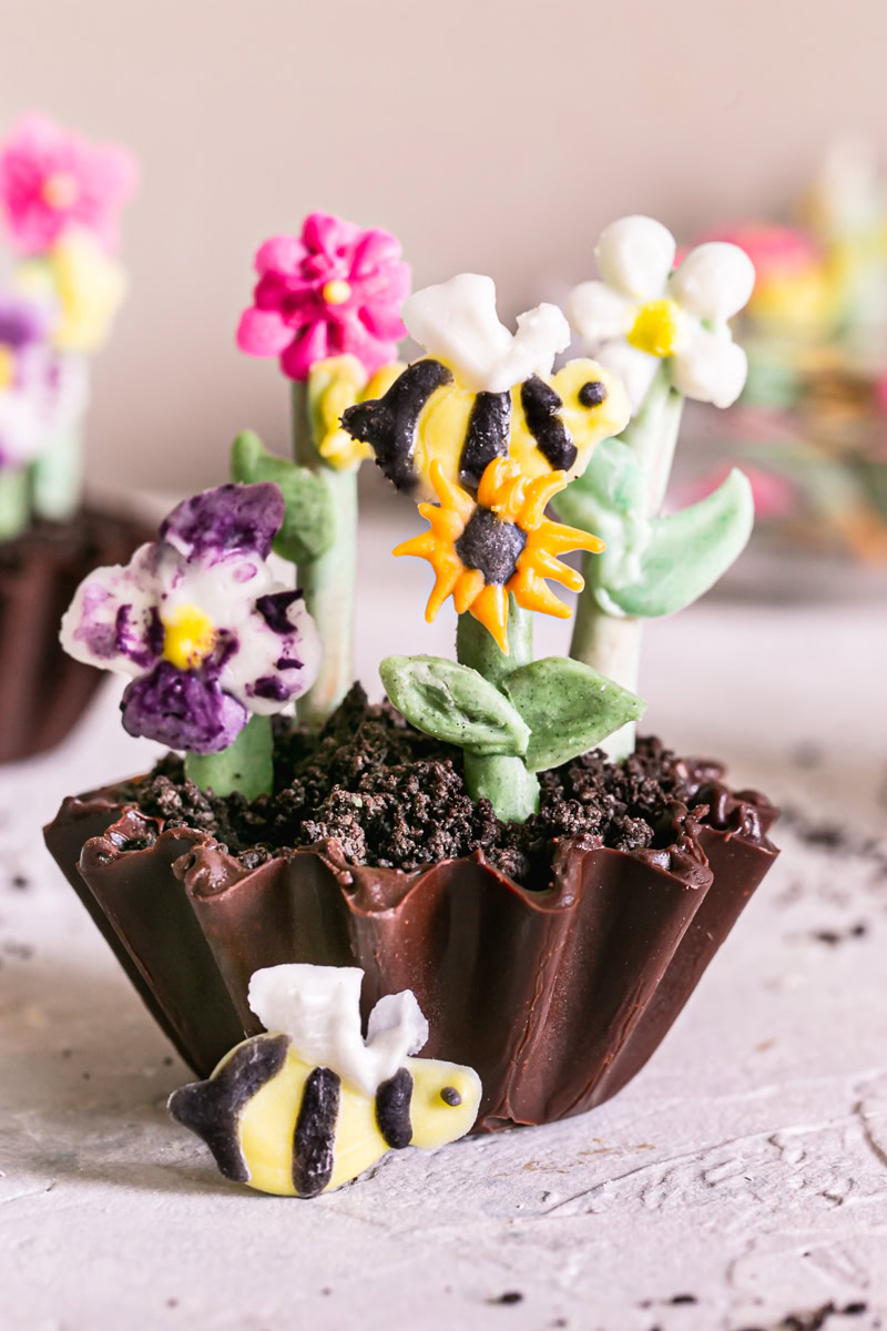 Chocolate Avocado Pudding Dirt Cups-image